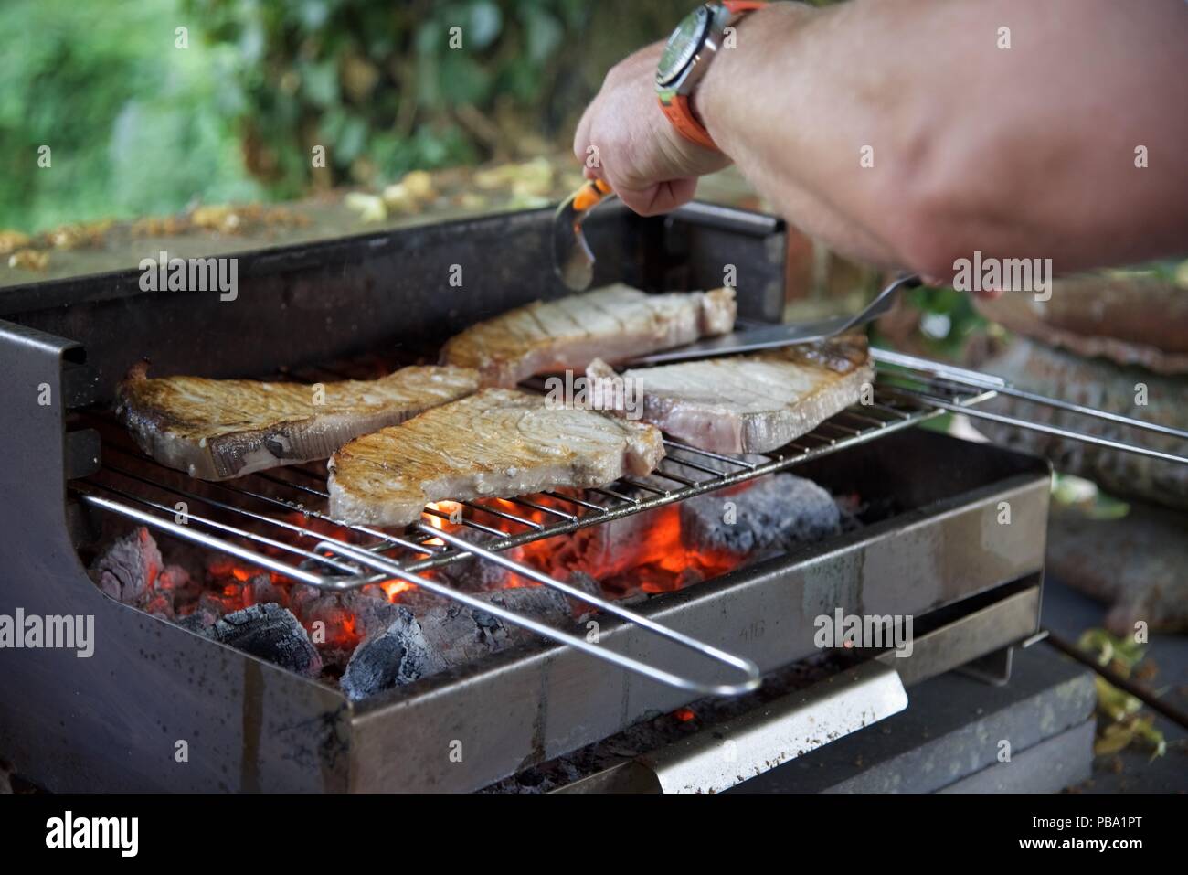 Barbecue swordfish steaks cooking on a charcoal barbecue Stock Photo