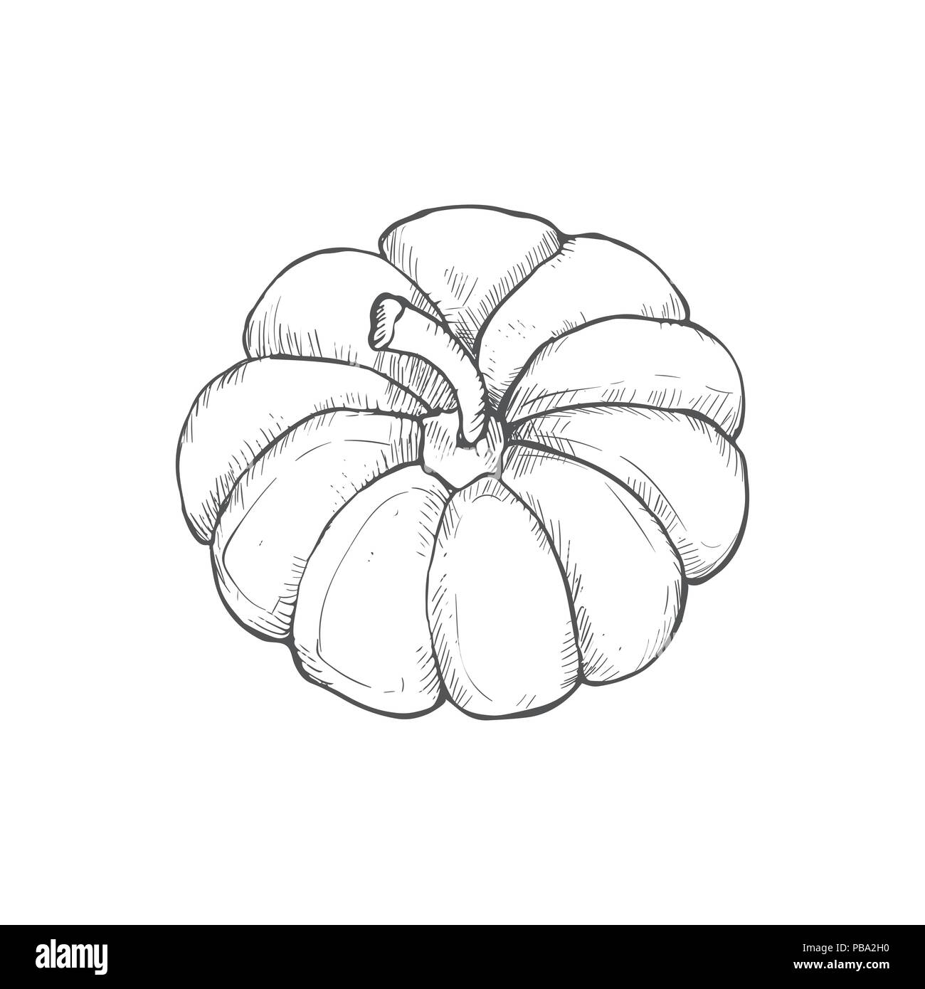 Hand drawn pumpkins vector collection. Pumpkin icons isolated on white background. Stock Vector