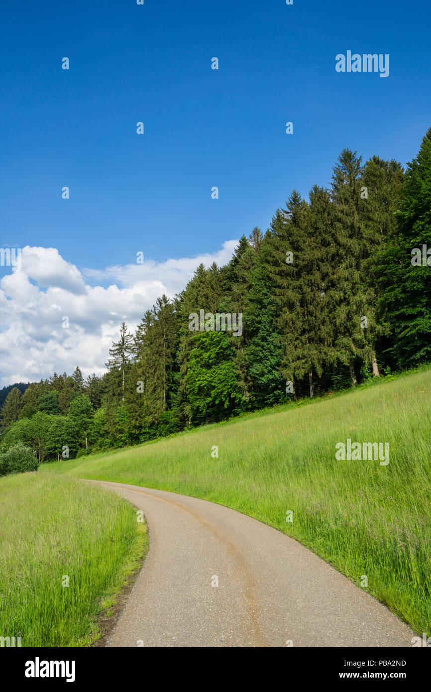 Germany, Black forest road next to edge of the forest Stock Photo