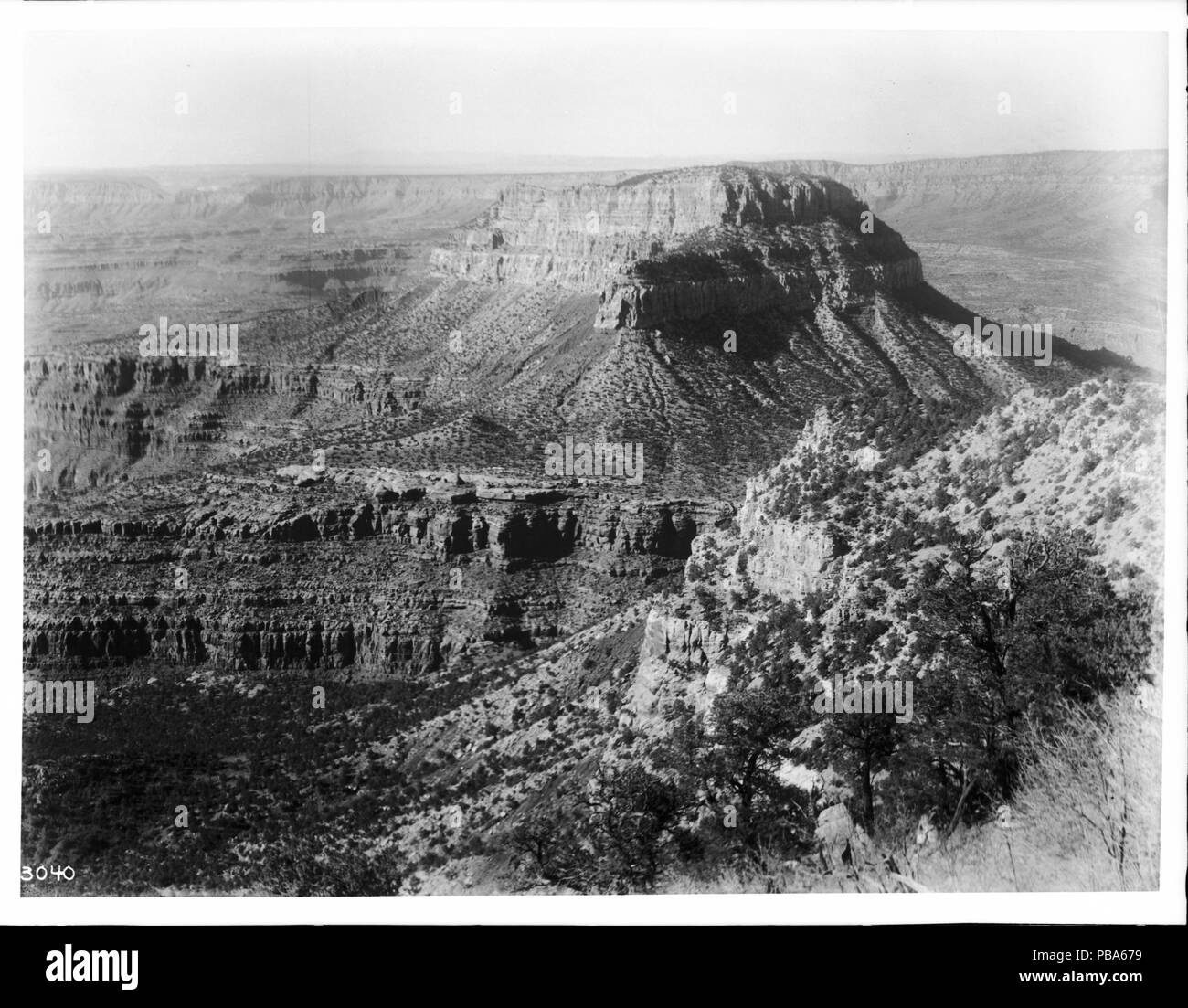 . English: Mountain north of Powells Plateau, north rim of the Grand Canyon, from the west side, ca.1900-1930 Photograph of the mountain north of Powells Plateau, north rim of the Grand Canyon, from the west side, ca.1900-1930. The mountain sticks up out of the middle of the canyon. Trees dot the rocky slopes in the foreground near the canyon's rim and around the based of the mountain. The far rim is visible in the distance.  Call number: CHS-3040 Photographer: Pierce, C.C. (Charles C.), 1861-1946 Filename: CHS-3040 Coverage date: 1900/1930 Part of collection: California Historical Society Col Stock Photo