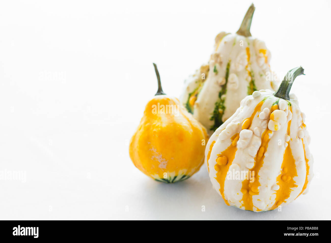 Three decorative pumpkins on white table cloth Stock Photo