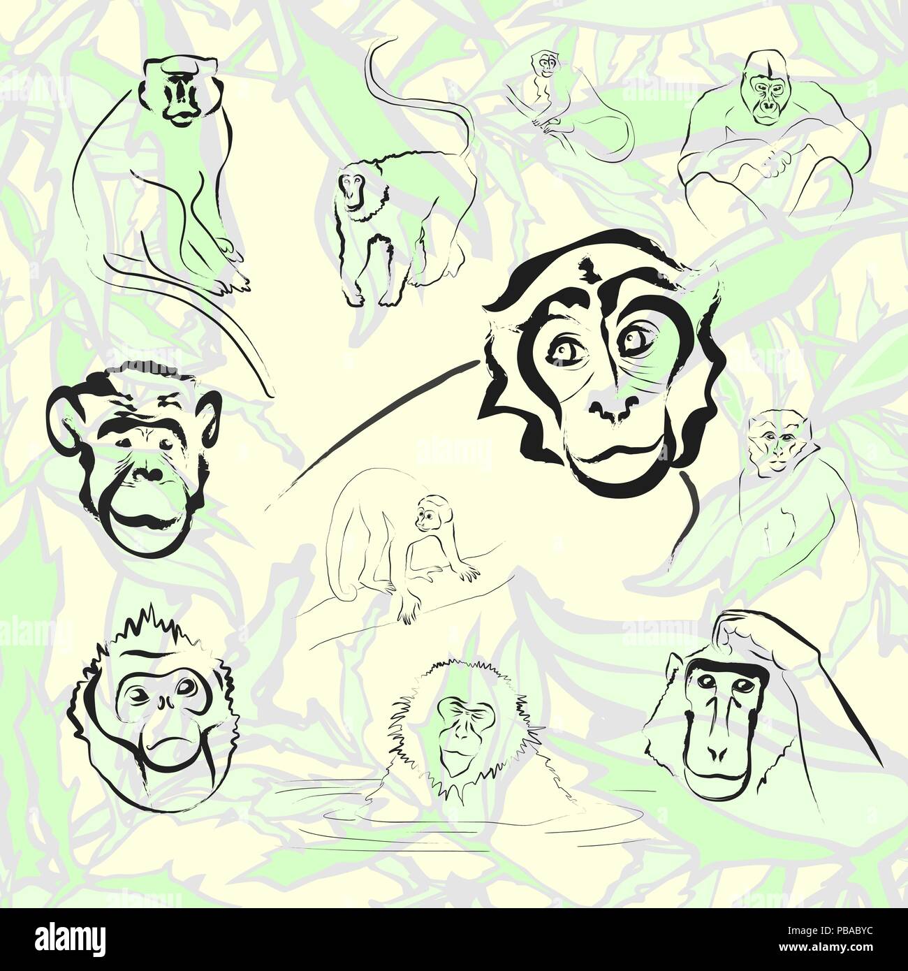 Ape and Monkey collection. Vector illustration Stock Vector