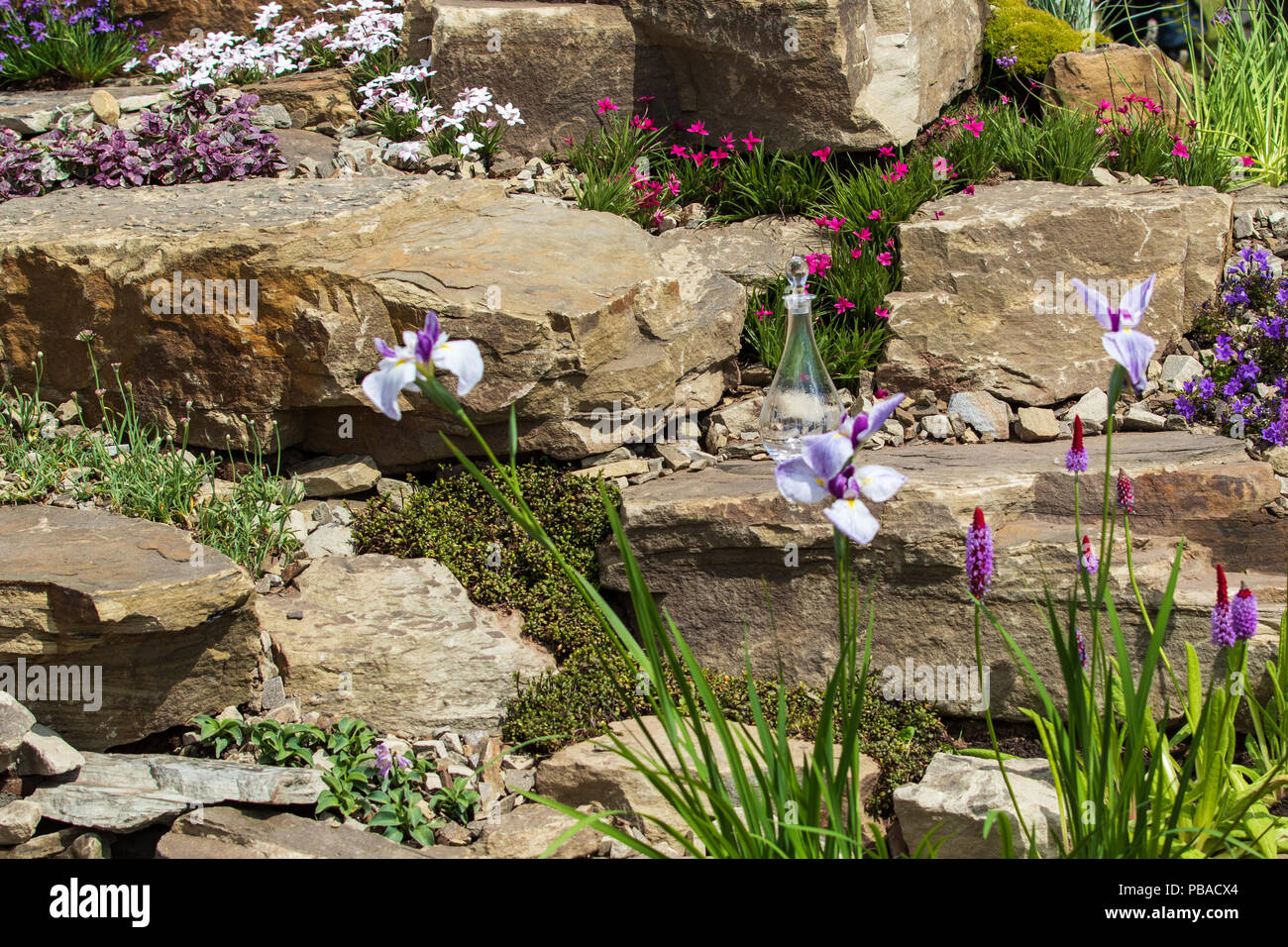 A beautiful garden rockery with alpines Stock Photo