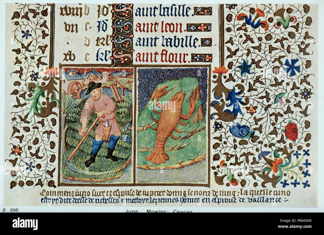 Library june hi-res stock photography and images - Alamy