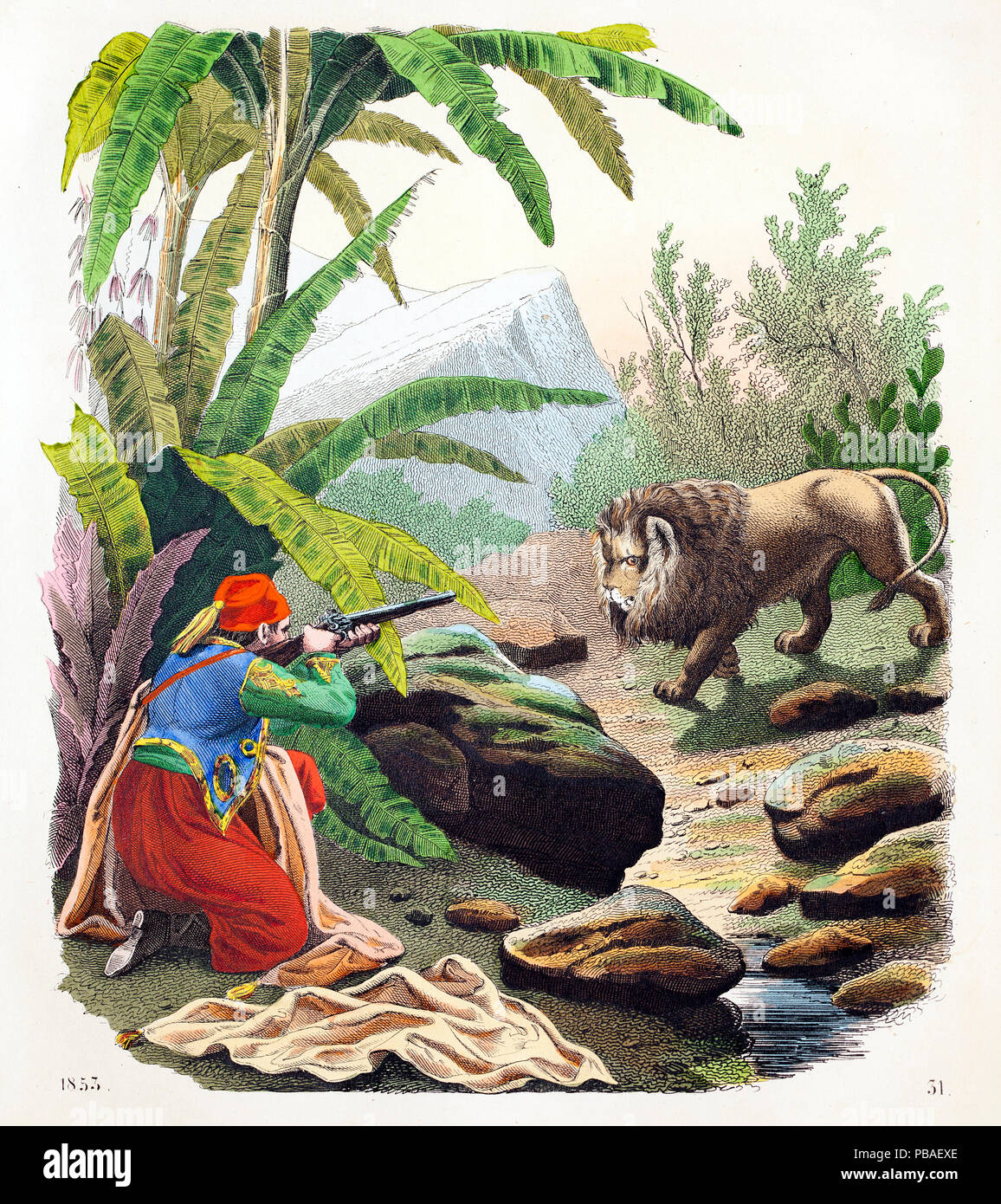 Historical illustration of local man hunting Barbary lion (Panthera leo