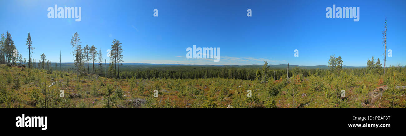 Panoramic view from Granberget in Vasterbotten in Sweden. Stock Photo