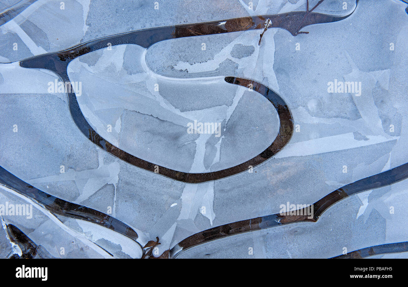 Abstract ice pattern, Klein Schietveld, Brasschaat, Belgium, January Stock Photo