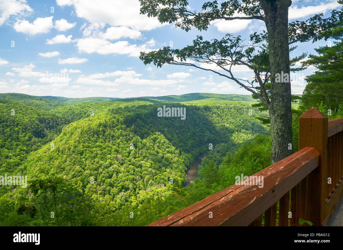 Pine Creek Gorge, also called the Grand Canyon of Pennsylvania. A 47 mile long, 1000 foot deep gorge that winds through north-central Pennsylvania. Stock Photo