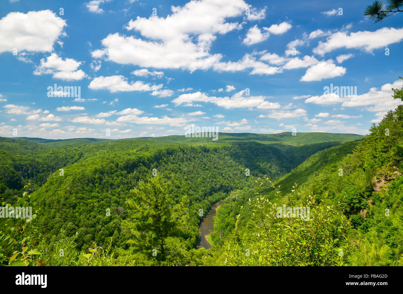 Pine Creek Gorge, also called the Grand Canyon of Pennsylvania. A 47 mile long, 1000 foot deep gorge that winds through north-central Pennsylvania. Stock Photo