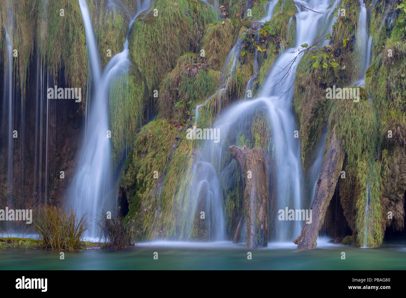Water cascading over naturally formed tufa dam. Tufa is a kind of limestone, formed from the precipitation of carbonate minerals which builds up around mosses and water plants to form a solid limestone structure over time. Plitvice Lakes National Park, Croatia. November. Stock Photo