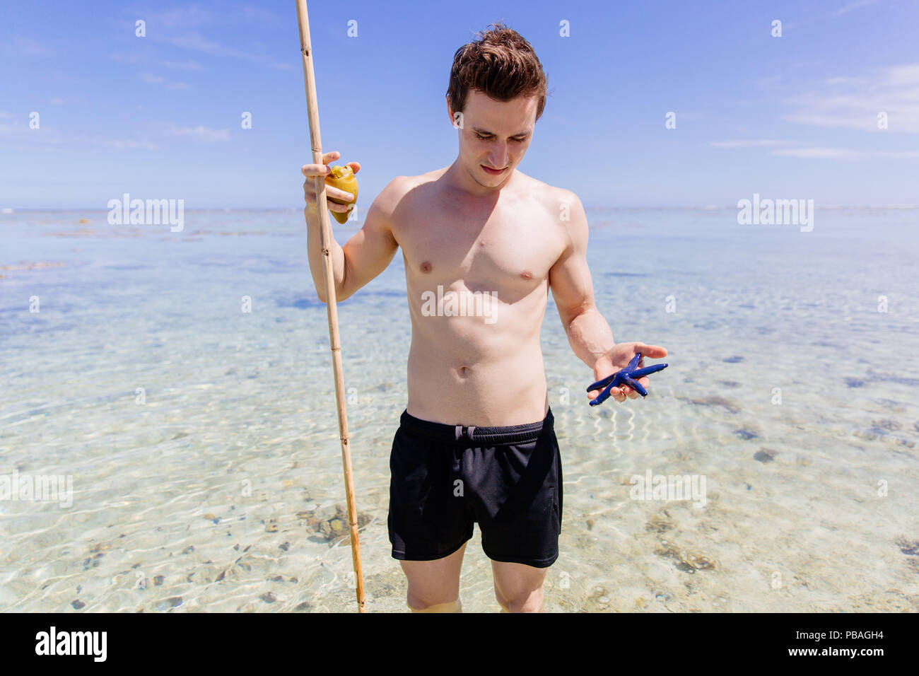Man finds Blue Sea Star on the Coral Coast of Fiji Stock Photo