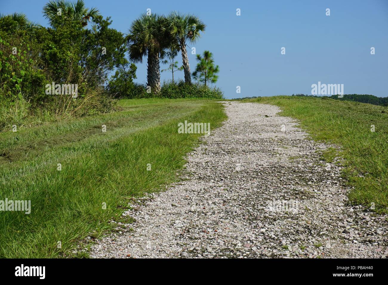 Hiking the easy Henry Hudson Trail at Popamopa Point, in Atlantic  Highlands, New Jersey, on a pleasant Spring day -01 Stock Photo - Alamy