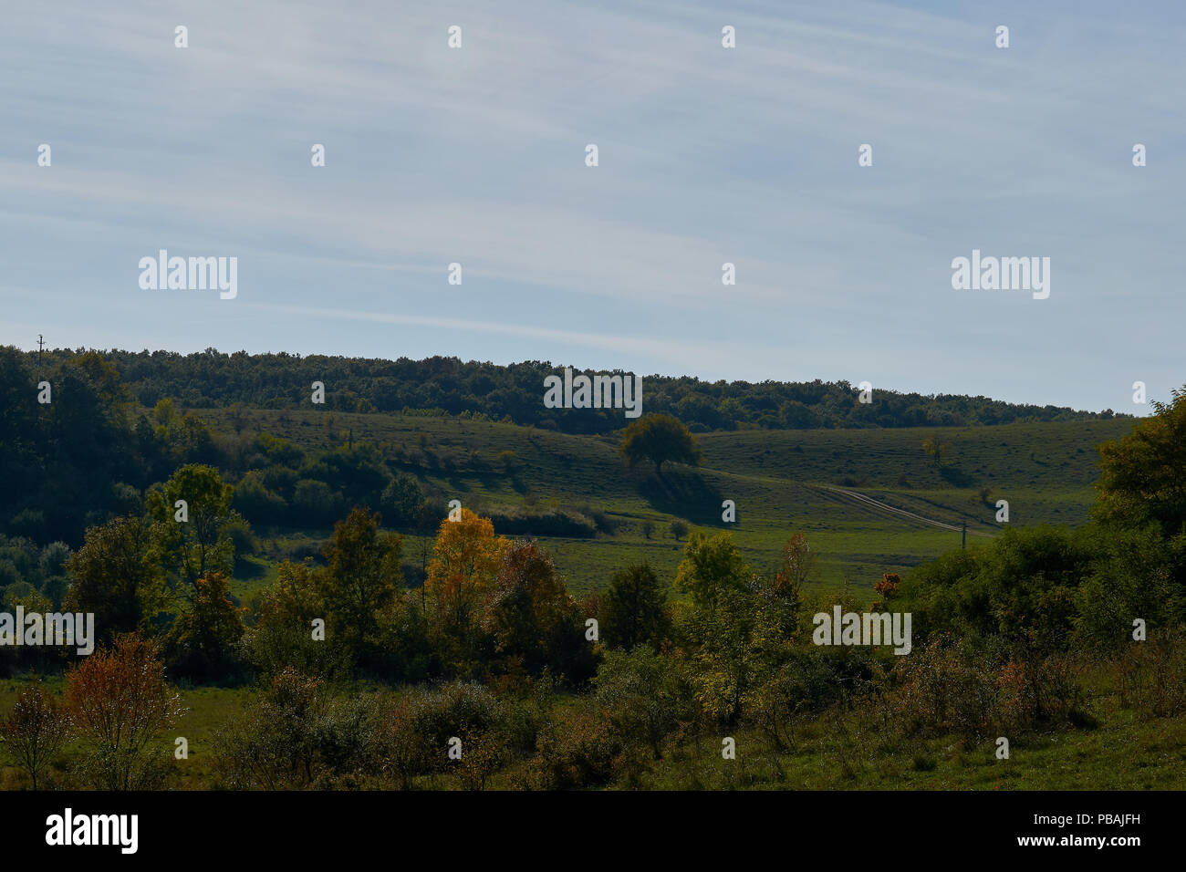 Autumn landscape with colorful trees Stock Photo - Alamy