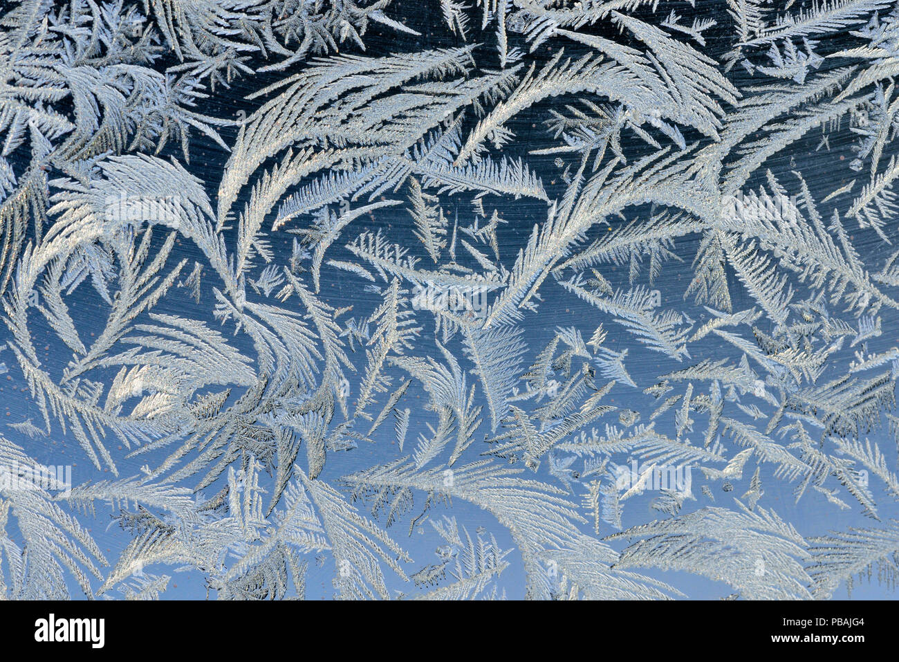 Frost patterns on a window, Greater Sudbury, Ontario, Canada Stock Photo