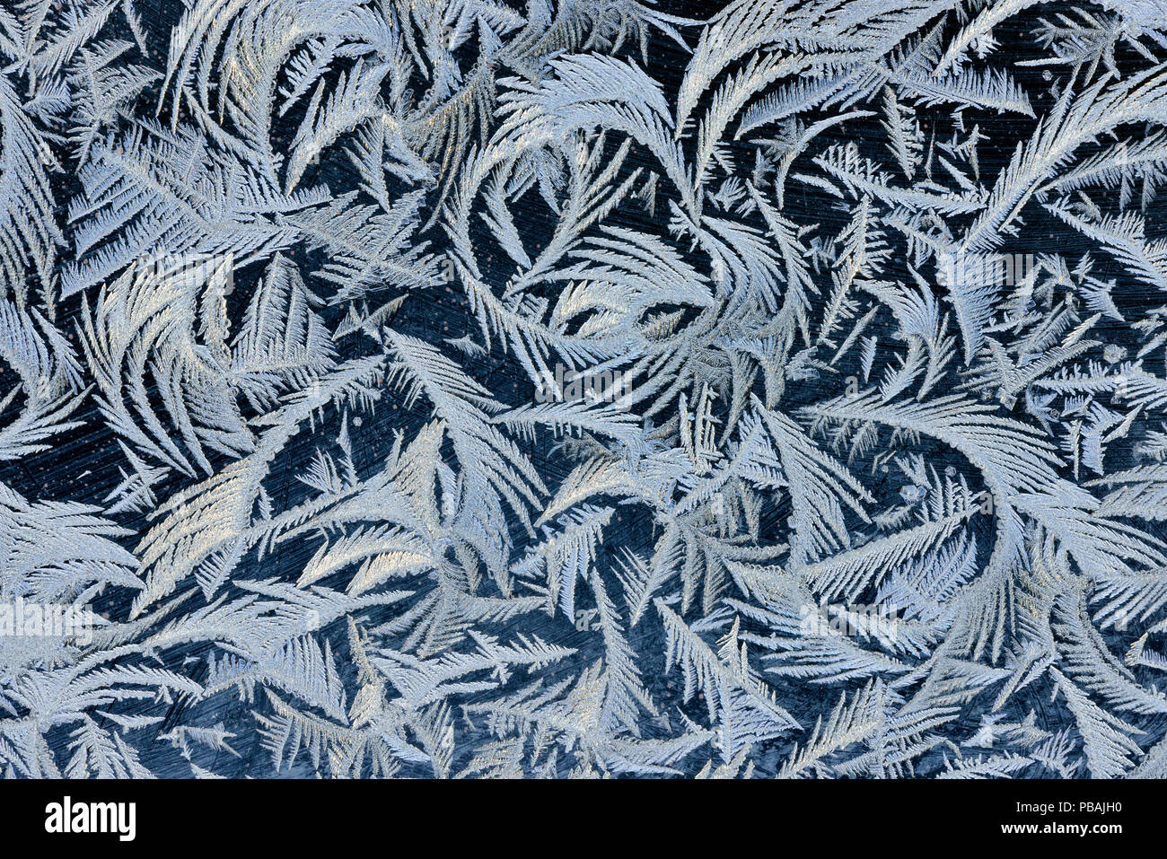 Frost patterns on a window, Greater Sudbury, Ontario, Canada Stock Photo