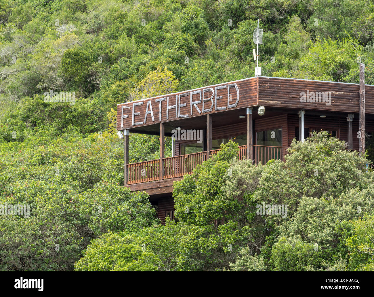 Featherbed Nature reserve in Knysa, South Africa Stock Photo