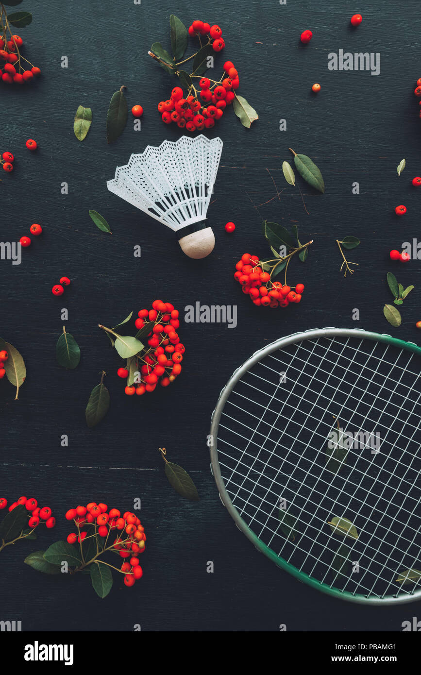 Flat lay badminton racquet and shuttlecock, top view of sports equipment with wild berry fruit arrangement Stock Photo