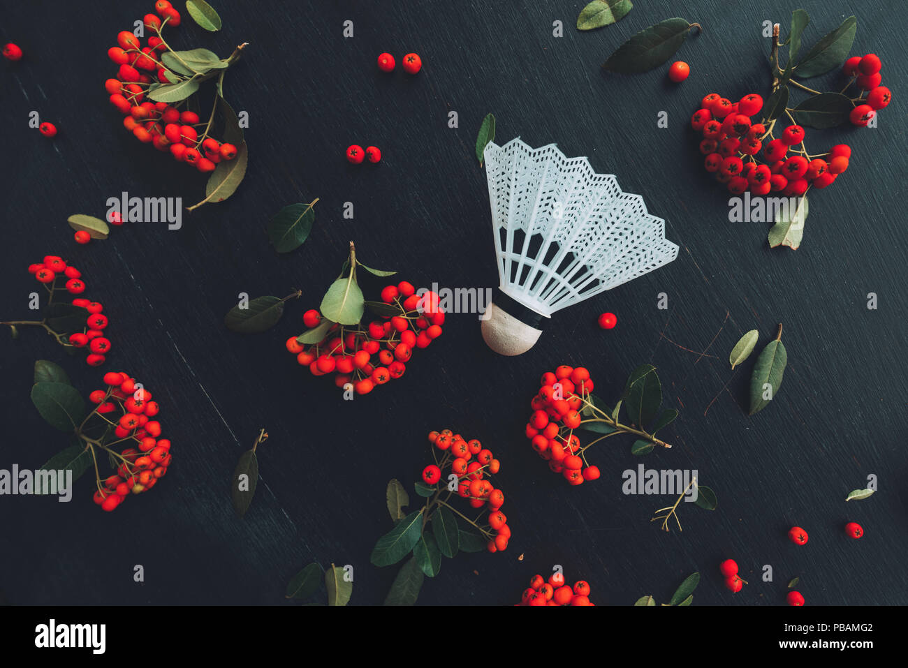 Flat lay badminton shuttlecock, top view of sports equipment with wild berry fruit arrangement Stock Photo