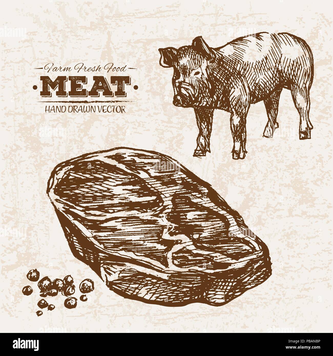 Hand drawn sketch steak pork meat products set with sausages and salami