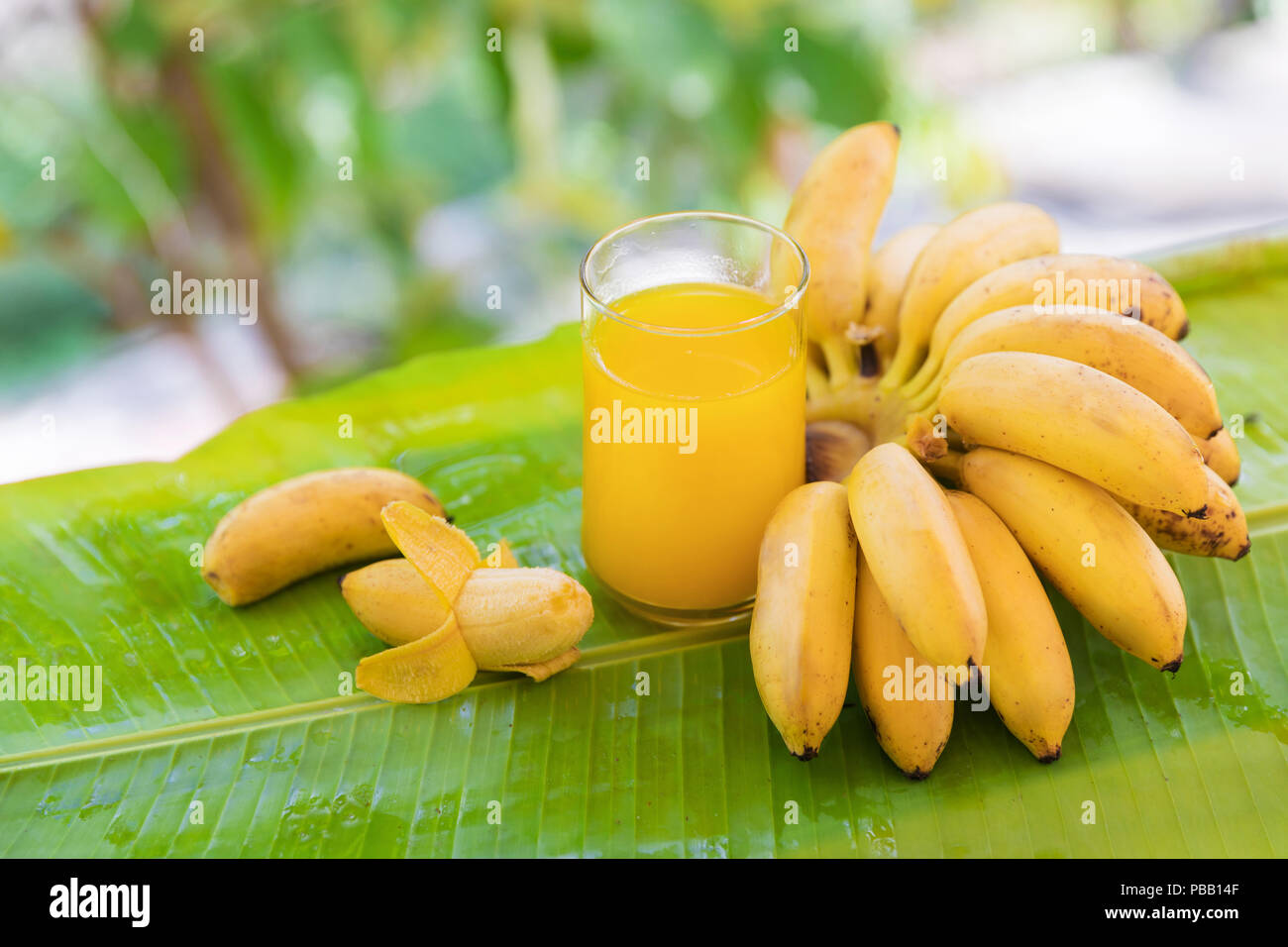 bunch-of-bananas-on-leaf-with-smoothie-juice-drink-in-glass-outdoors
