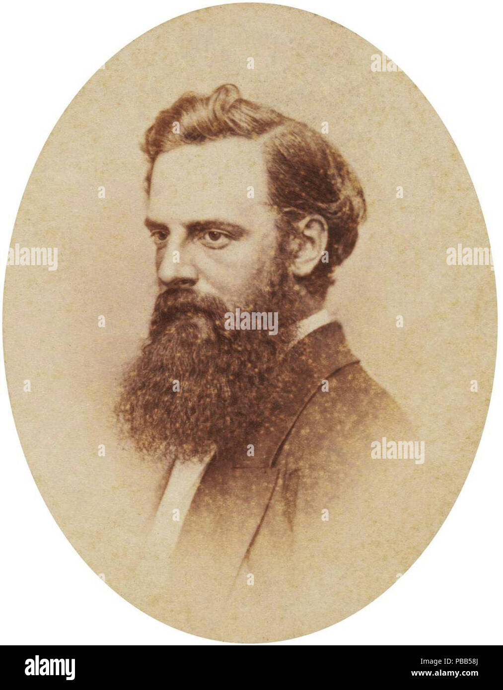 . English: Nicholas Chevalier, carte de visite photograph . circa 1870 1100 Nicholas Chevalier oval photograph, c. 1870 Stock Photo