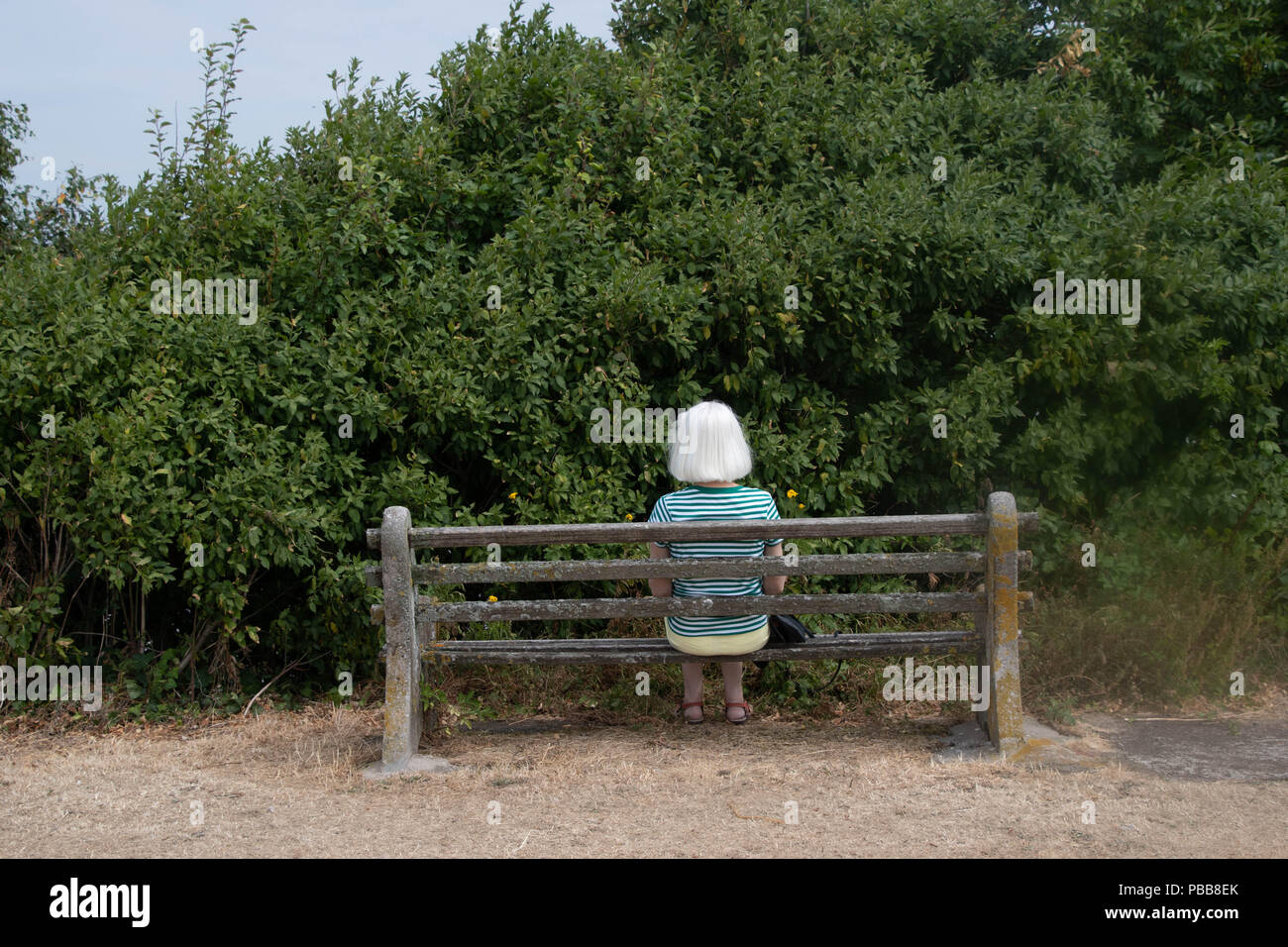 Trapped and can't see a way forward? A bench with no view. Stock Photo