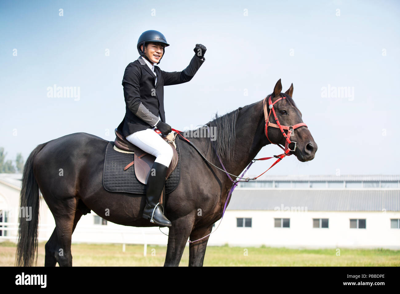 Cheerful young Chinese man riding horse Stock Photo - Alamy