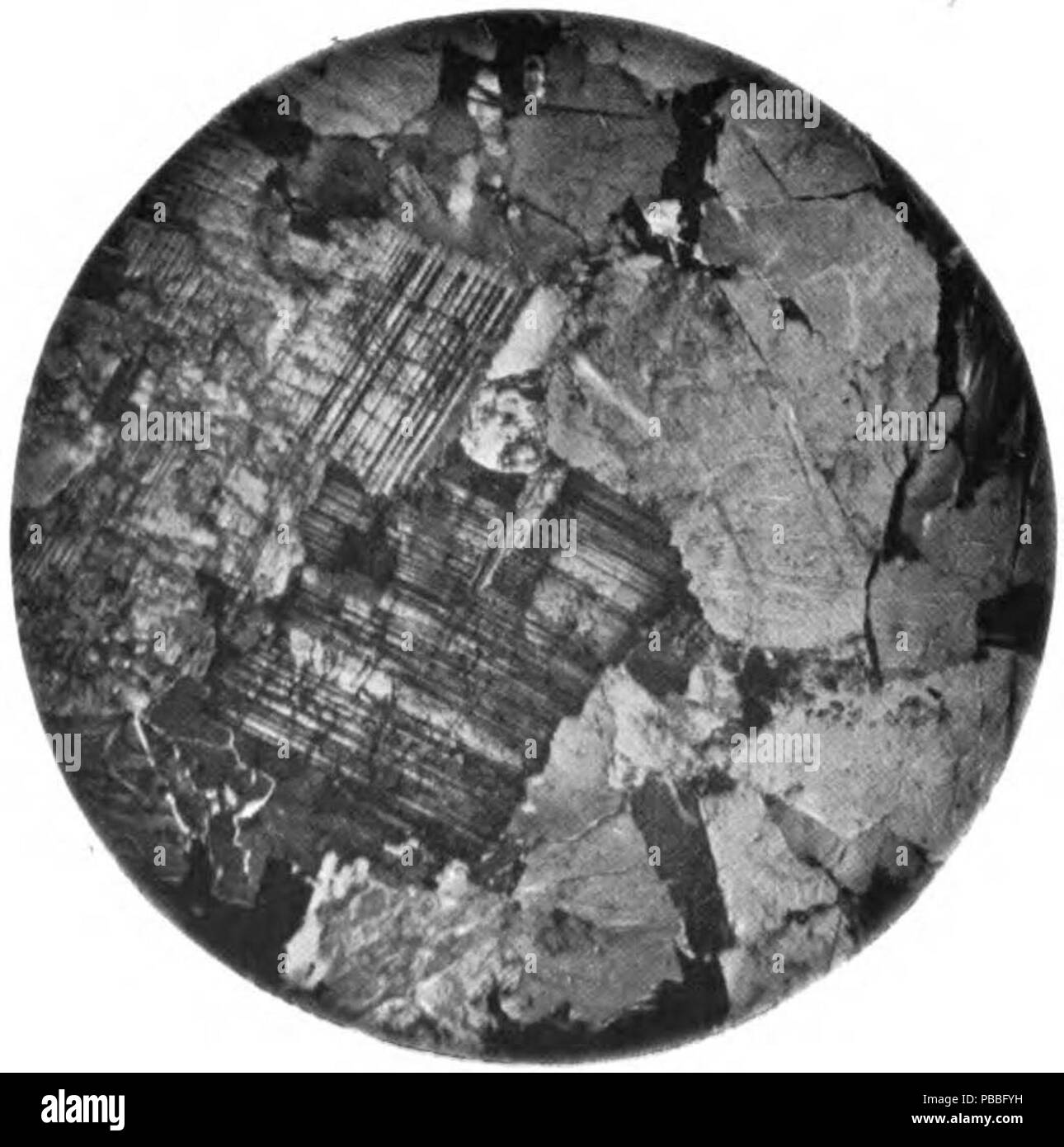 1190 Photomicrograph granite PlateIX Fig2 MD Geological Survey Volume 2 Stock Photo