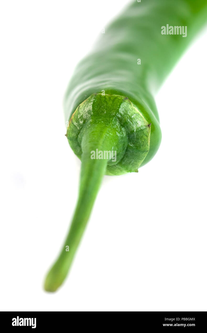 Green ripe chili hot pepper isolated on white background Stock Photo ...