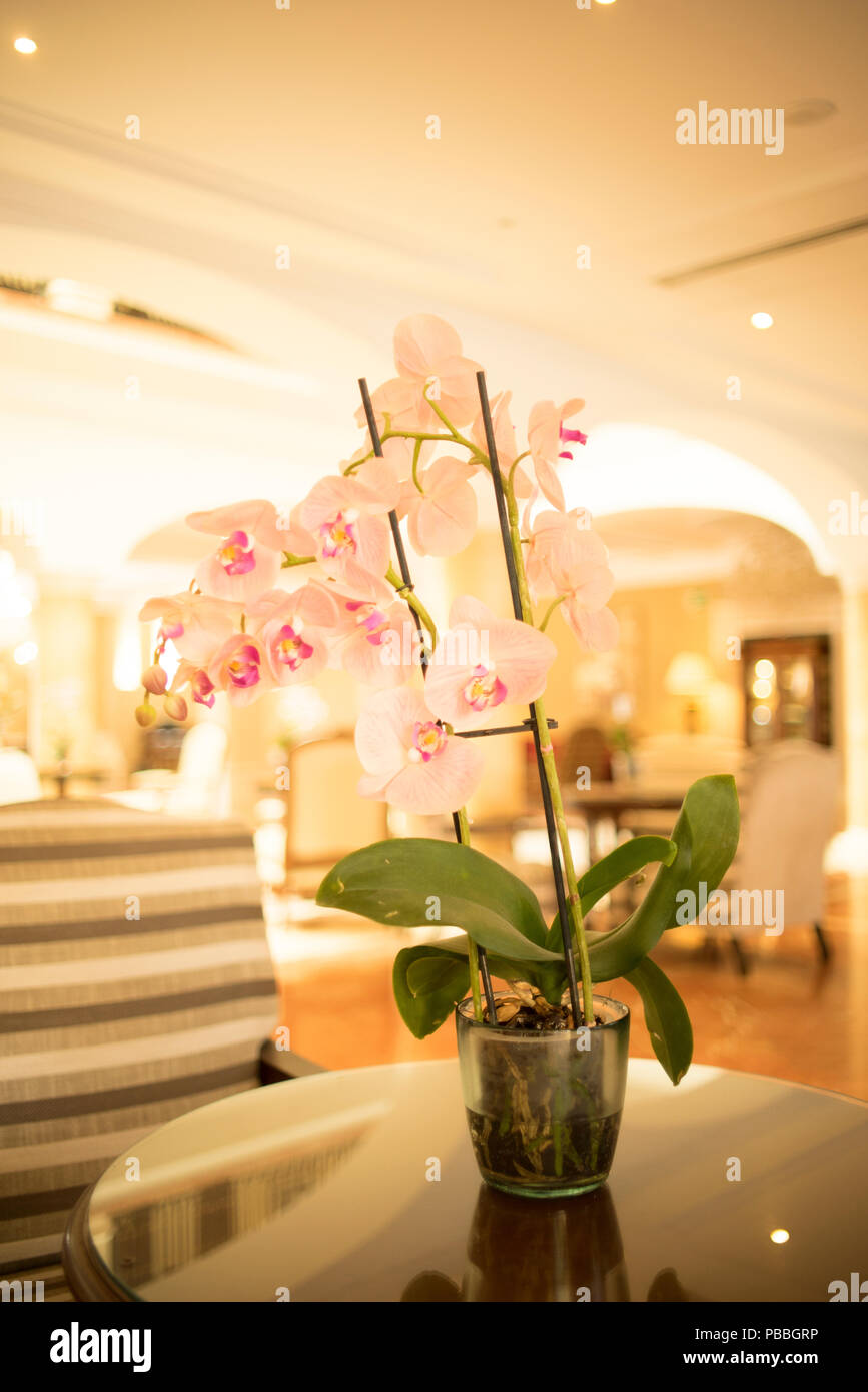 Beautiful Flowers In Luxury Five Star Hotel Wedding Marriage Party Before Guests Arrive Stock Photo Alamy