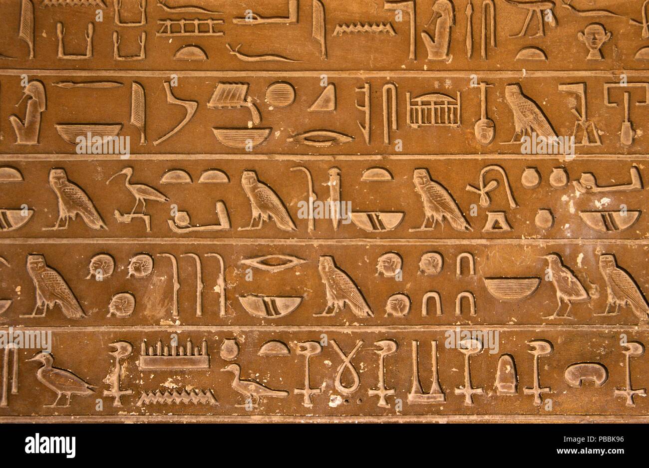 Tomb of Idu, top official -hieroglyphics, The Giza Necropolis, Cairo, Egypt, Africa. Stock Photo