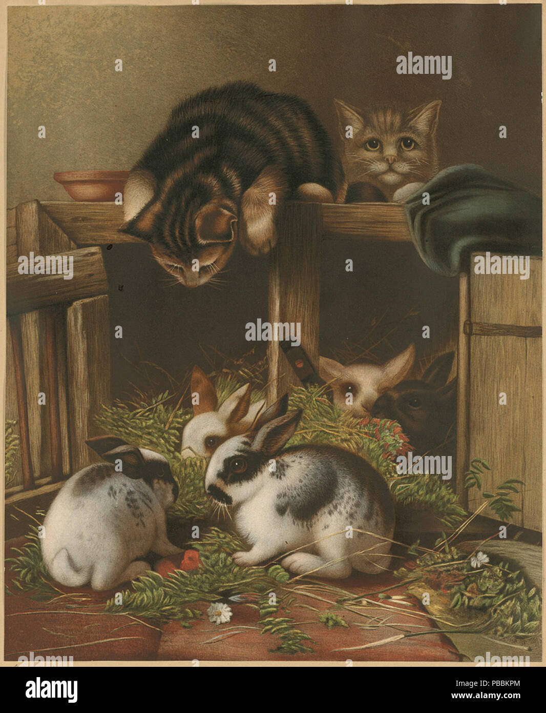 Curated visual reference: Kittens Bringing Dead Rabbits To Mom Reference: Public Animal Artwork Hi Res Stock Photography And Images