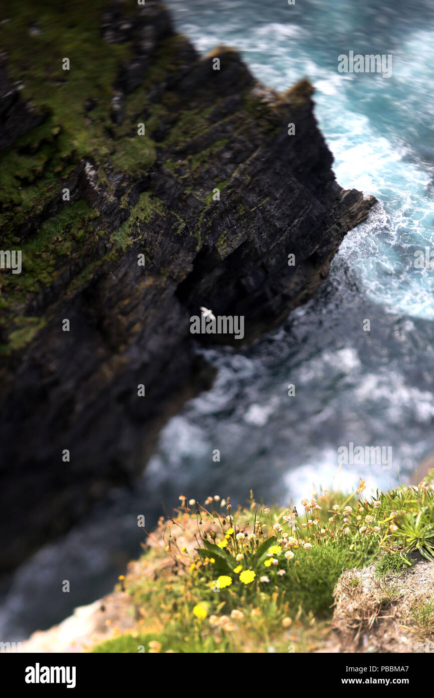 Cliffs of Kerry, County Kerry, Ireland. Stock Photo