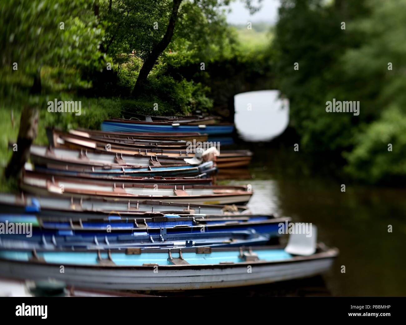 Boats lined up at a dock in County Kerry, Ireland Stock Photo - Alamy
