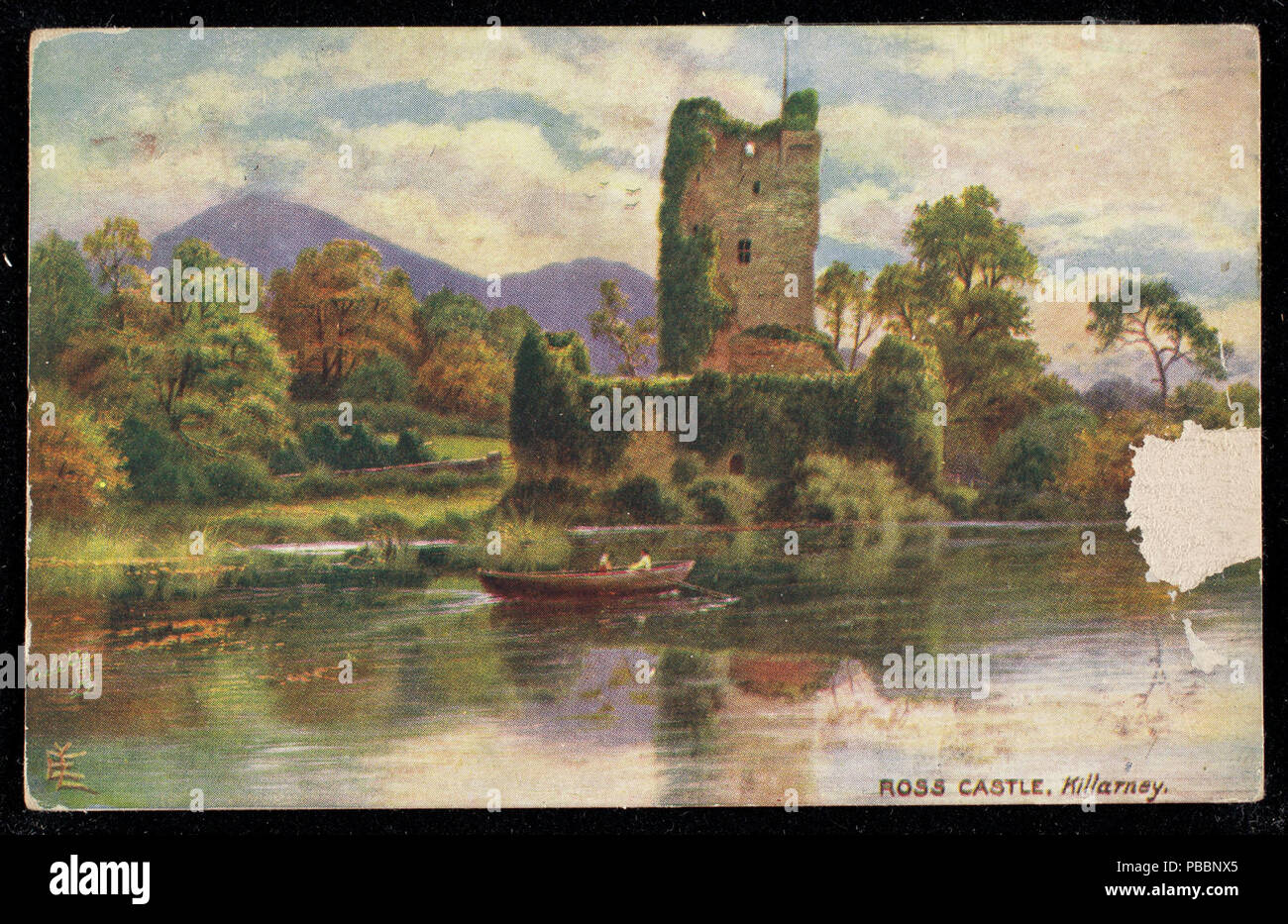 1272 Ross castle, Killarney (NBY 439067 Stock Photo Alamy