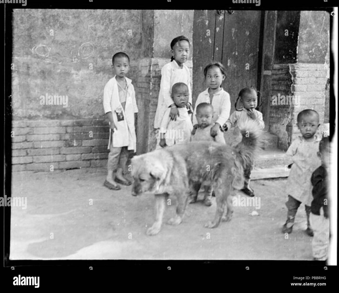1132 Old Photo of Chinese TianYuan Dog with Children Stock Photo