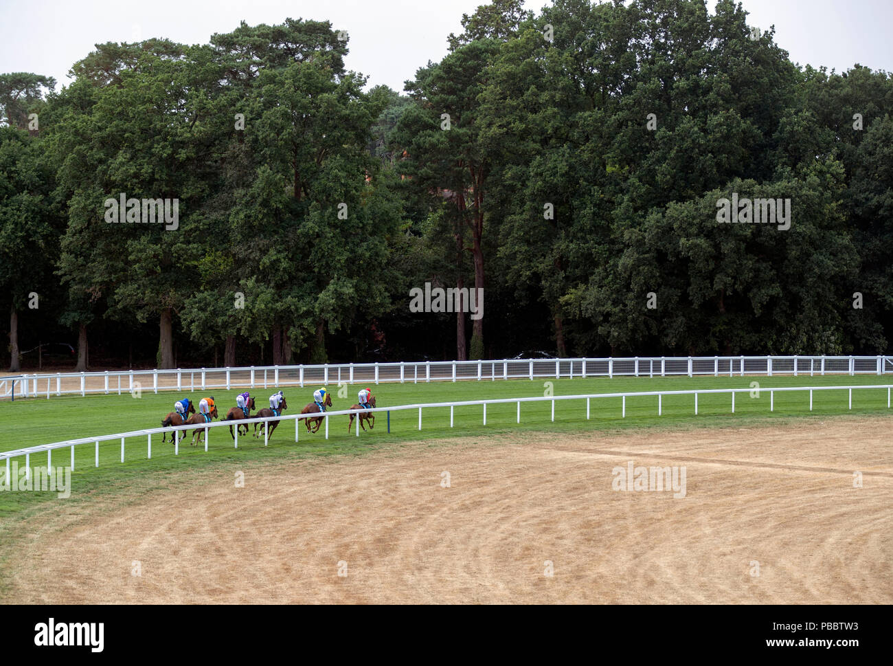 Runners in the JGR Brown Jack Handicap during Friday of the King George Weekend at Ascot Racecourse. Stock Photo