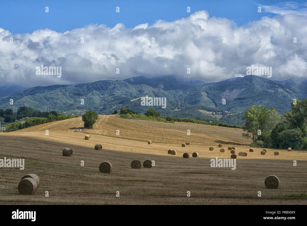 A TYPICAL TUSCAN LANDSCAPE Stock Photo