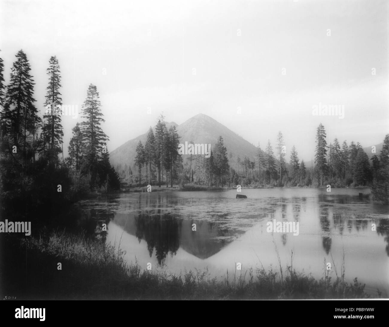 . English: Panoramic view of Black Butte overlooking a lake, Siskiyou County, California, ca.1900-1950 Photograph of a panoramic view of Black Butte overlooking Summit Lake(?), Siskiyou County, California, ca.1900-1950. Silhouettes of the mountain and the surrounding trees are reflected in the lake. Water vegetation sparsely covers the lake. A large boulder(?) juts above the surface of the water in the middle of the lake. Trees, bushes and grass surround the lake. A wooden fence encloses a short circumference of the lake on the other side. Utility lines and poles run along the fence.; 'Summit  Stock Photo