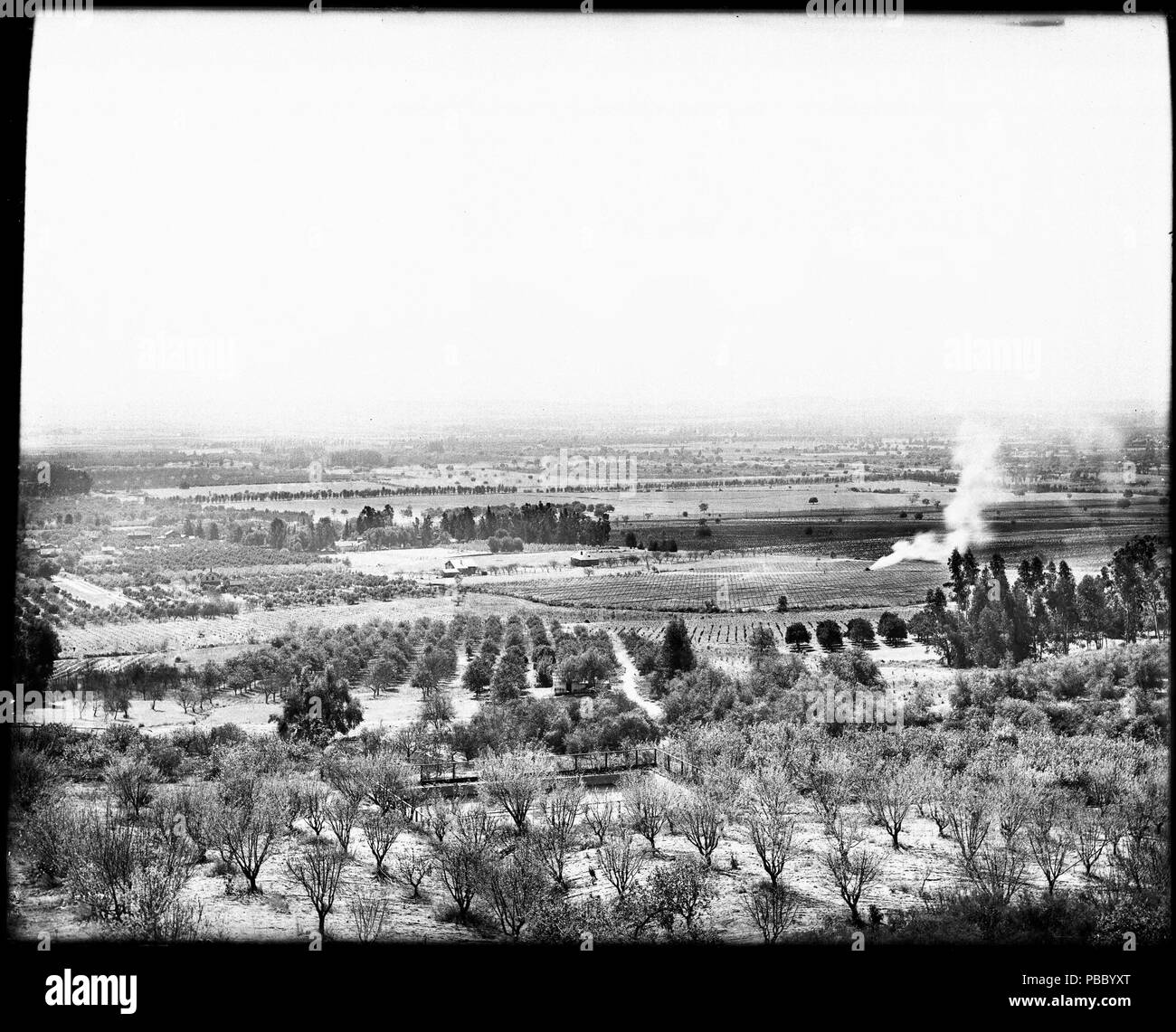 1167 Panoramic view of the Sierra Madre Ranch (fruit ranch) in the city of Monrovia, taken from Sierra Madre Heights, 1902 (CHS-5547) Stock Photo
