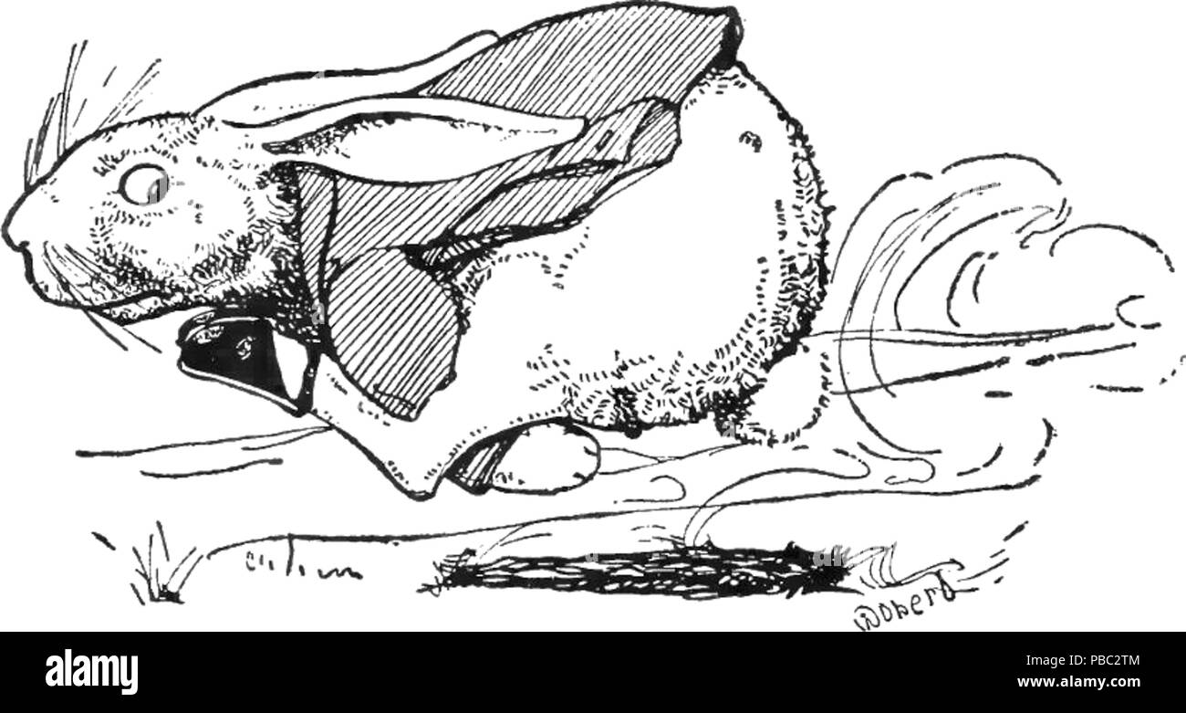 Peter rabbit Black and White Stock Photos & Images - Alamy