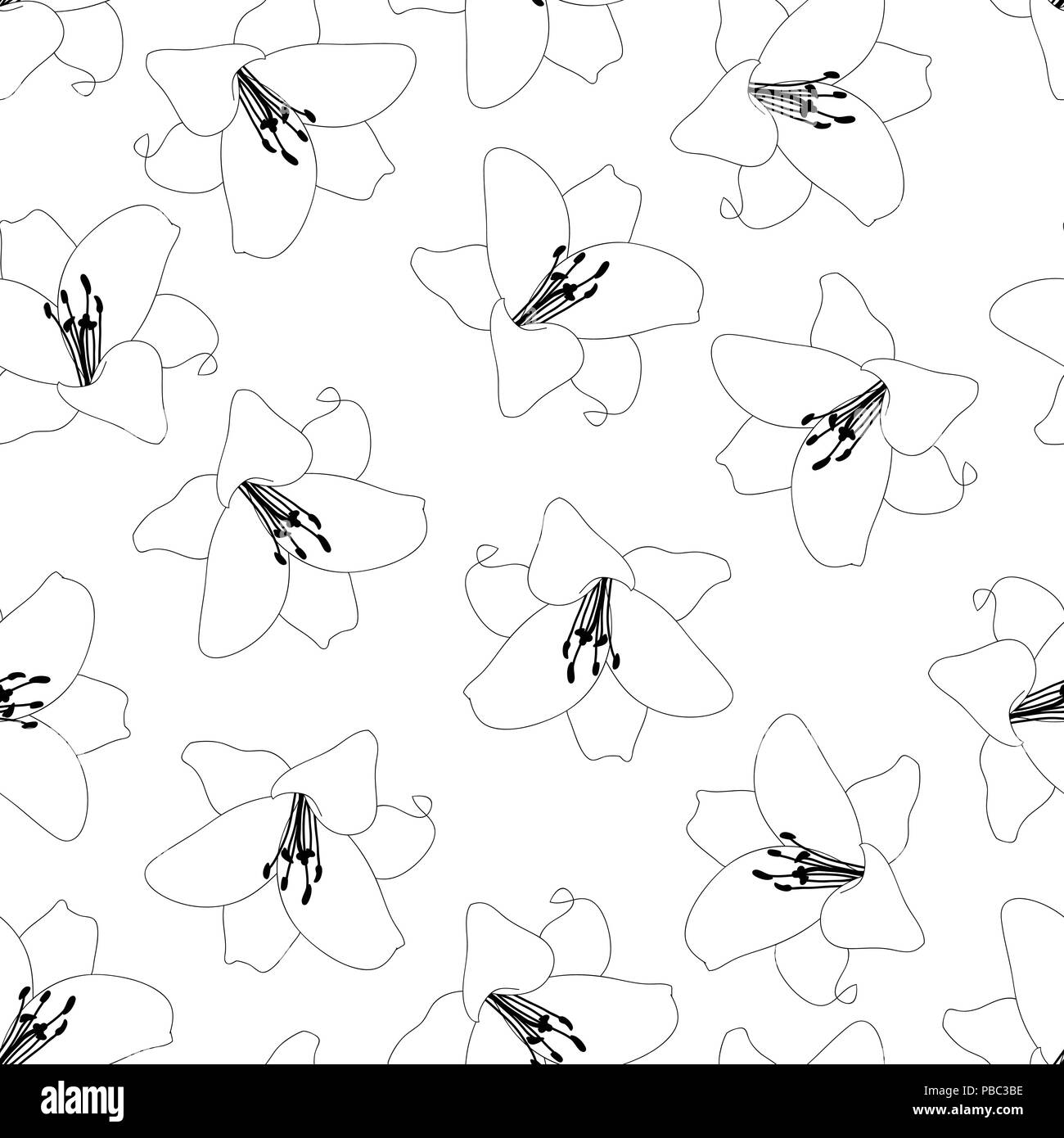 Lilly vector vectors Black and White Stock Photos & Images - Alamy