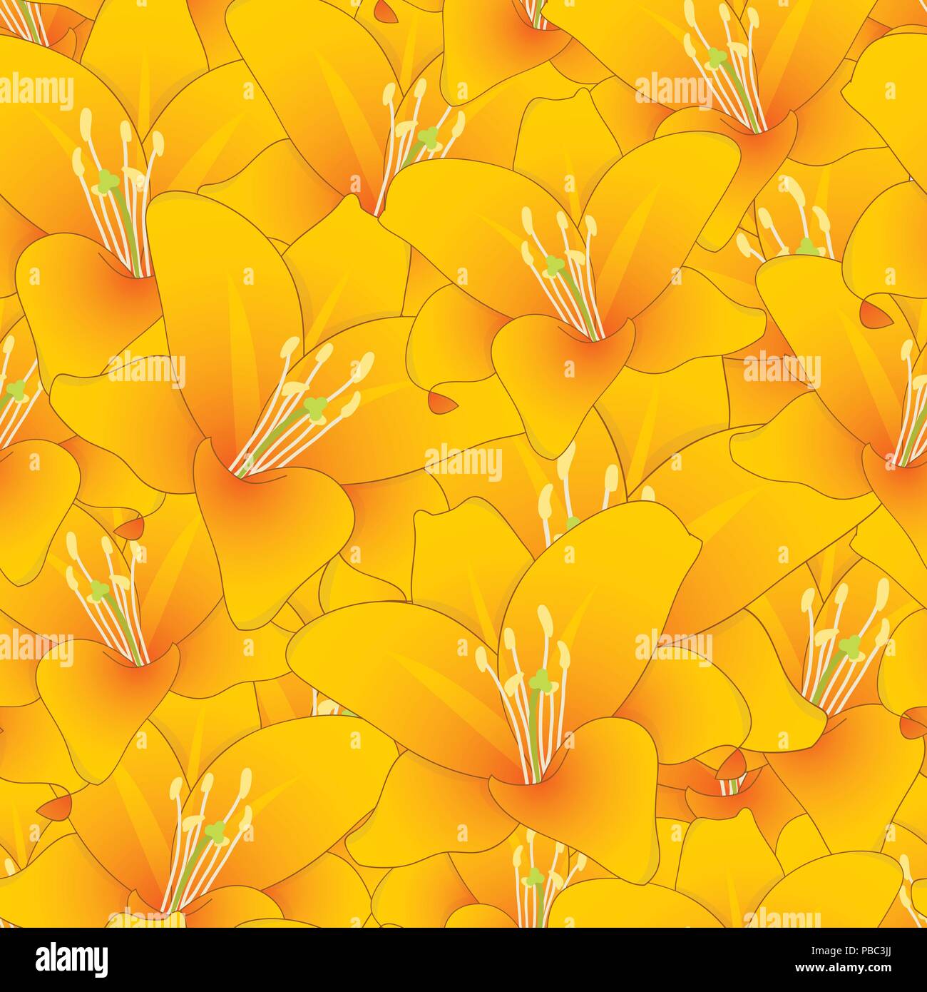 Lilium candidum, the Madonna lily or Orange Lily Seamless Background. Vector Illustration. Stock Vector