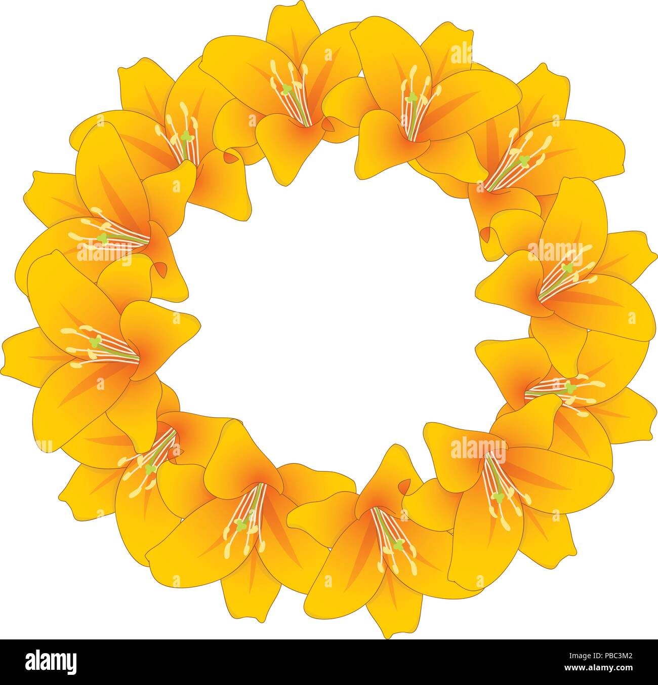 Lilium candidum, the Madonna lily or Orange Lily Wreath. Vector Illustration. Stock Vector