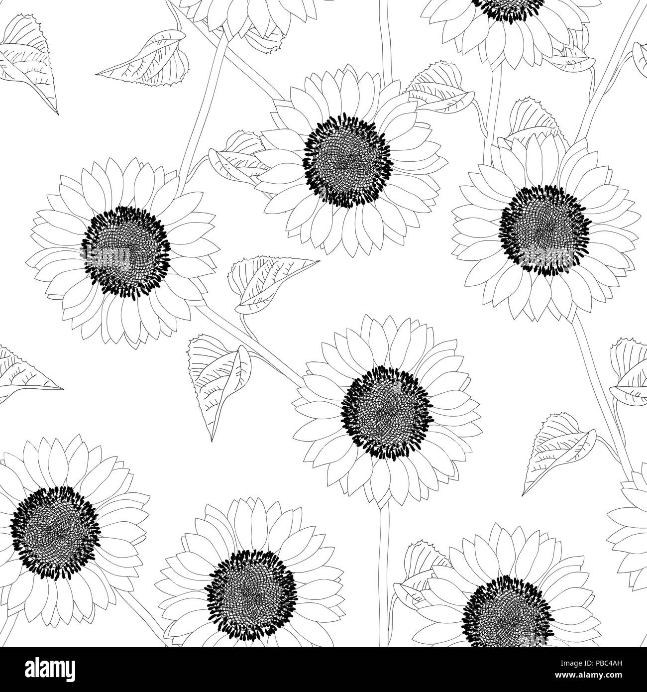 Sunflower Outline : Simple sunflower drawing at getdrawings | free