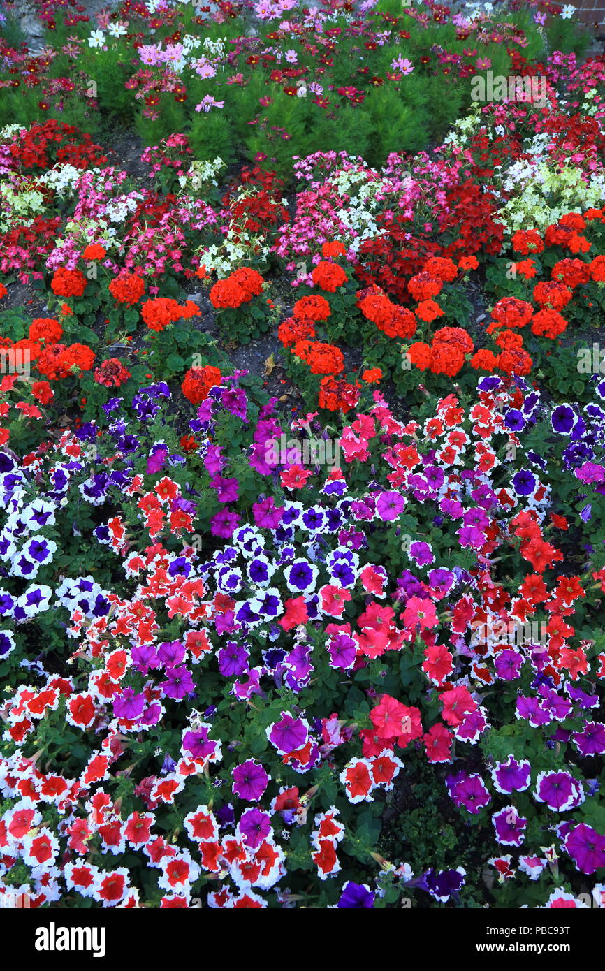Variety of flowers in flower bed hi-res stock photography and images ...