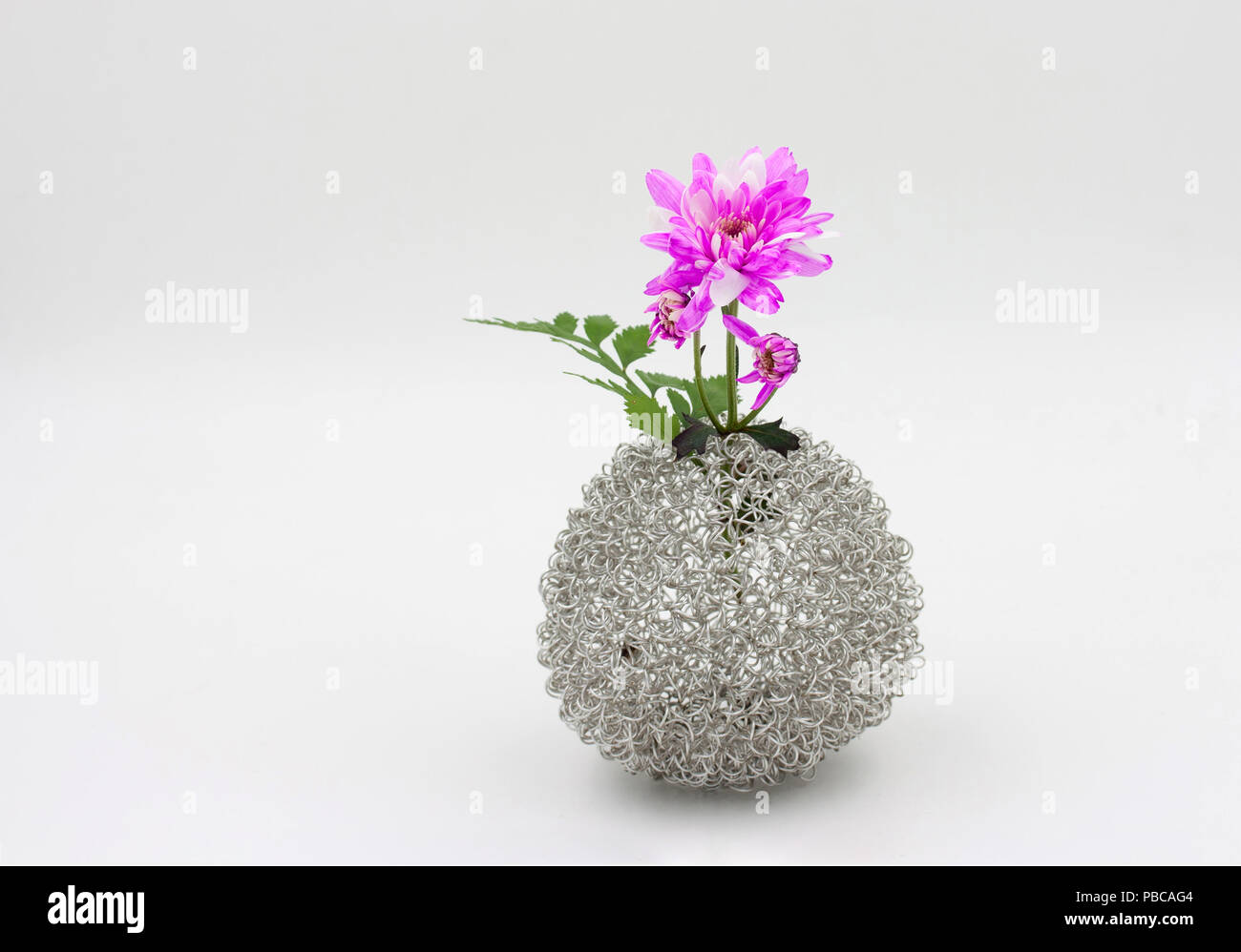 pink flower bouquet in vase on white background Stock Photo - Alamy