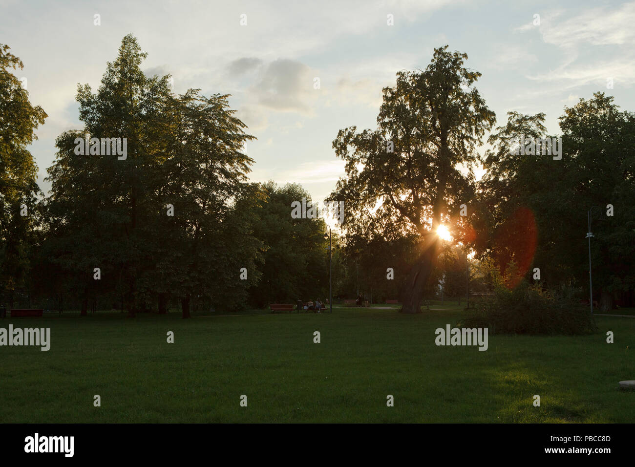 sun set in city park, late summern, central Europe Stock Photo