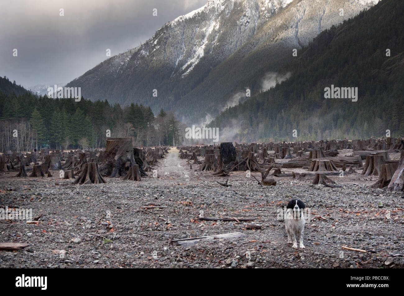 Lake Cushman Stock Photos Lake Cushman Stock Images Alamy