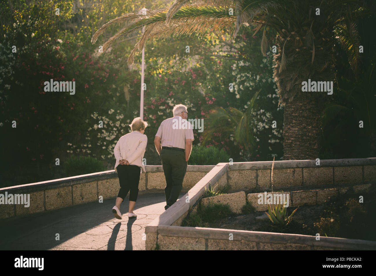Older couple walking on promenade along palm trees. Stock Photo